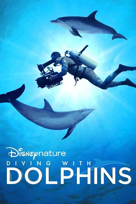 Diving with Dolphins